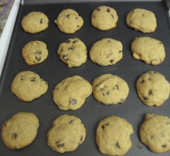 Banana Chocolate Chip Cookies