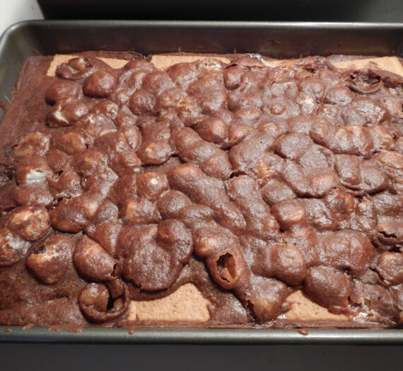 S’mores Brownies