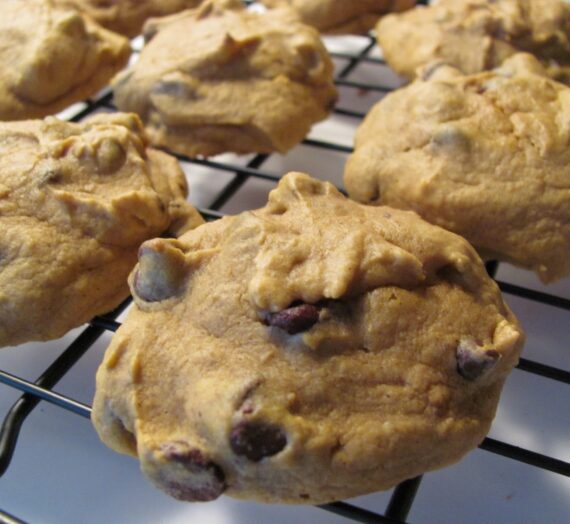 Pumpkin Chocolate Chip Cookies