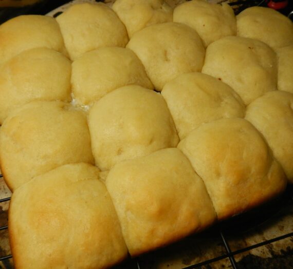 Butter Dinner Rolls